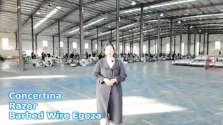 কনসার্টিনা রেজার কাঁটাতারের ইগোজা রেজার ওয়্যার রেজার কাঁটাতারের নিরাপত্তা বেড়া