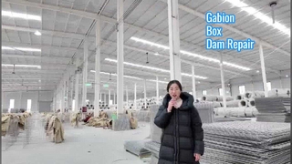 বাঁধ পুনরুদ্ধারের জন্য হেসকো ব্যারিয়ার প্রোডাকশন গ্যাবিয়ন বক্সের আর্মি ব্যবহার শক্তিশালী রিটেইনিং ওয়াল